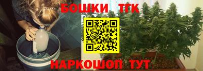 крисы Будённовск