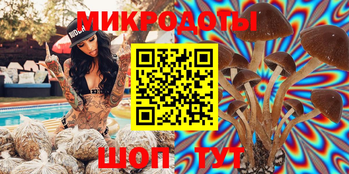 Заинск  Галлюциногенные грибы GOLDEN TEACHER  Галлюциногенные грибы Magic Shrooms  Вход с VPN 