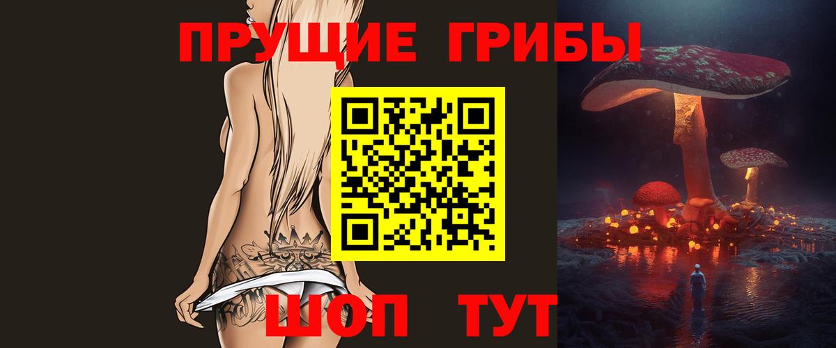 Псилоцибиновые грибы Cubensis Заинск